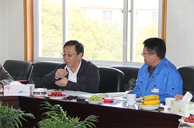 2013年3月18日，時任國家工信部節能司副司長楊鐵生一行蒞臨公司參觀指導